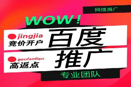 百度推广运营案例解析：如何实现精准营销